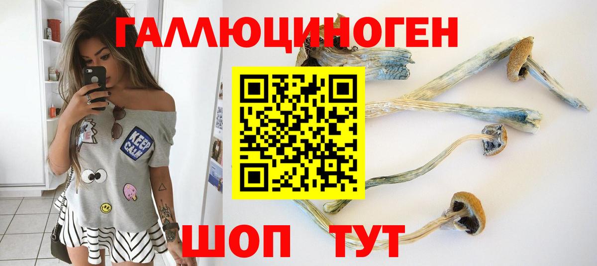 Псилоцибиновые грибы Psilocybine cubensis  Галлюциногенные грибы Psilocybe  Грязи  Вход с VPN 